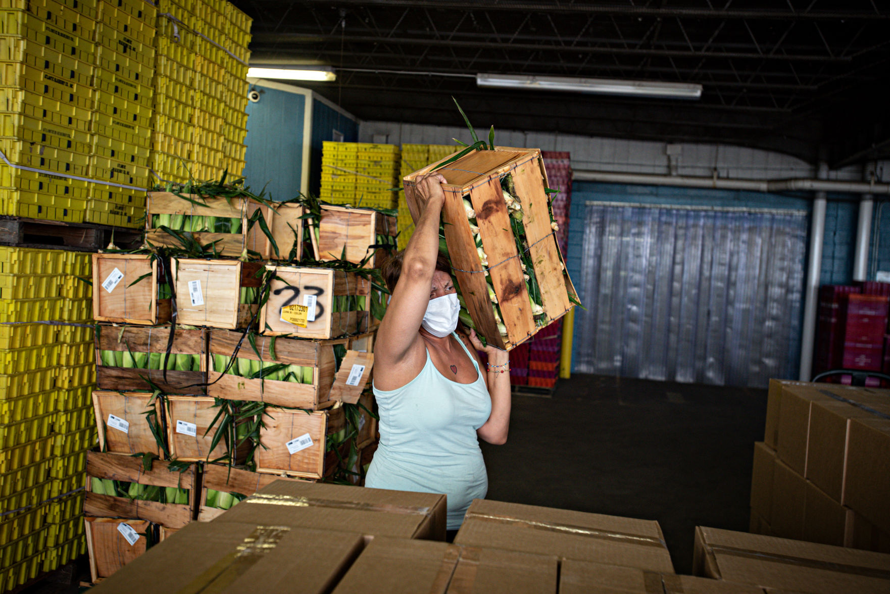 080120_nws_fooddrive
